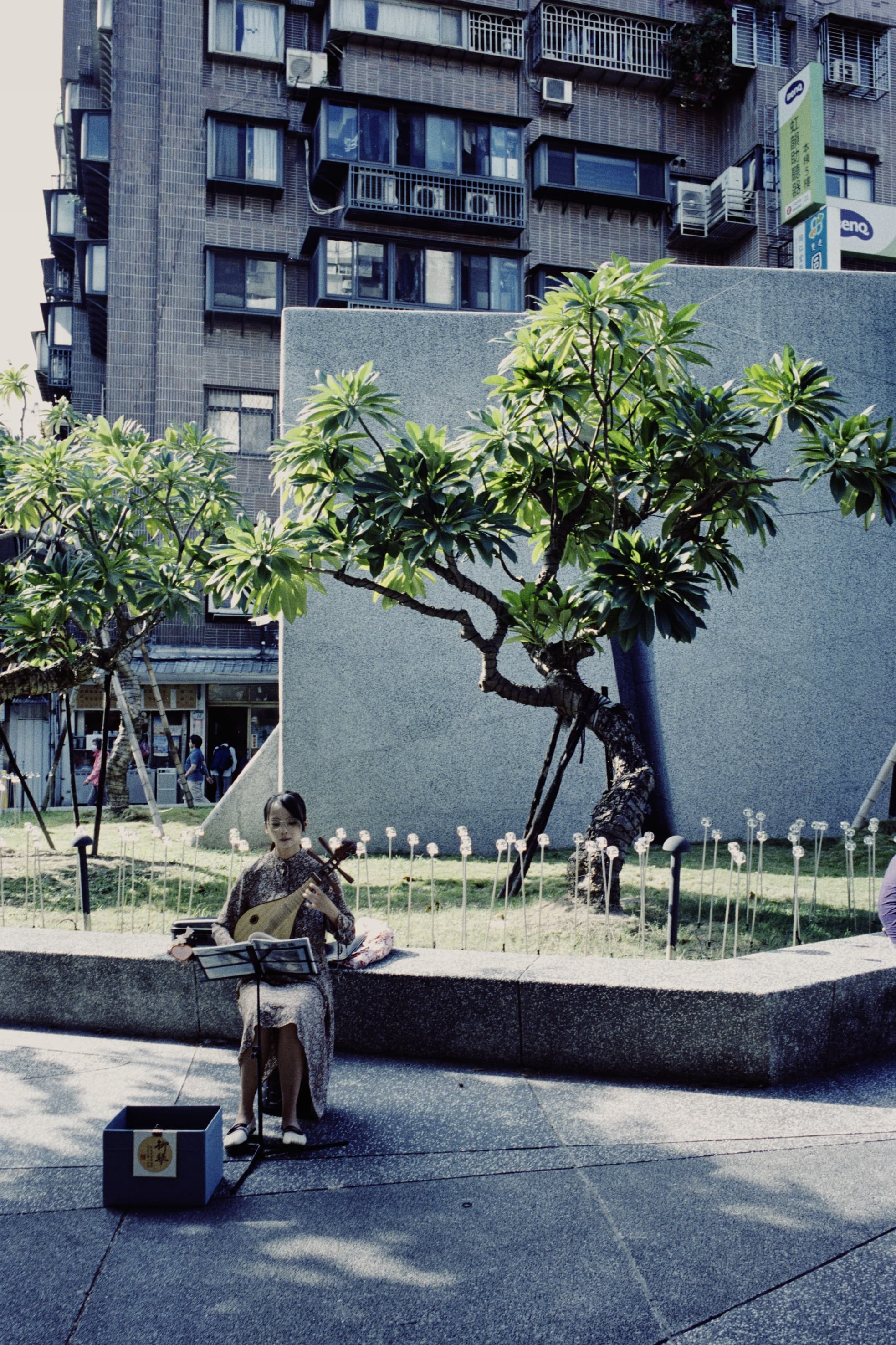 2025 Taiwan photo 57