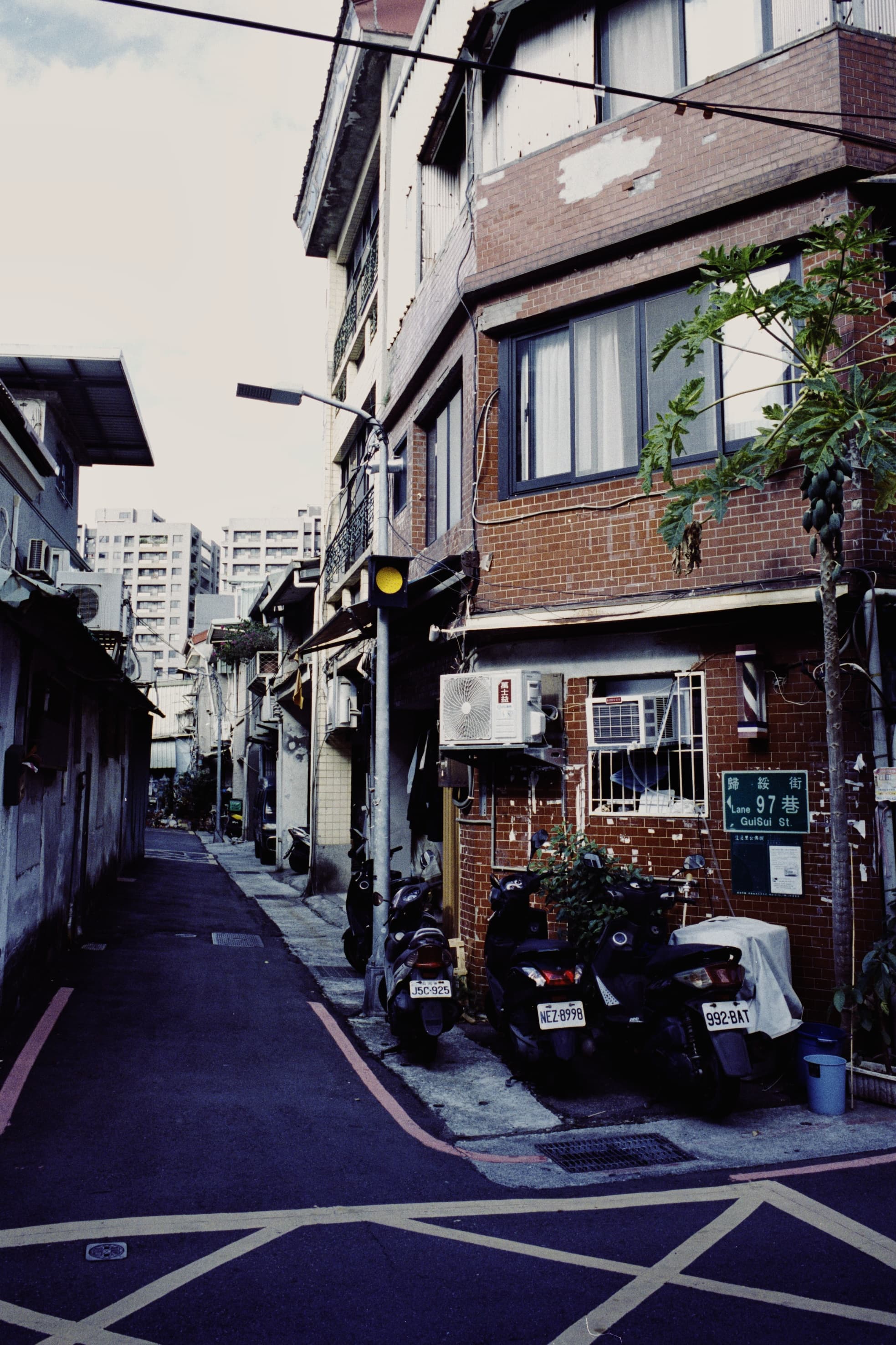 2025 Taiwan photo 61